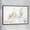 Floral print of Blowing Pampas with black glass front frame