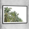 Floral print of Coconut Palms with black glass front frame
