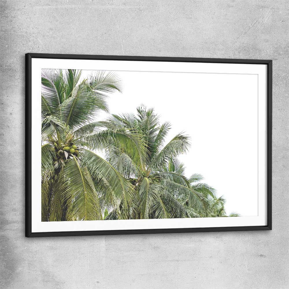 Floral print of Coconut Palms with black glass front frame