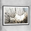 Floral print of Dandelion Seed Sunrise with black glass front frame