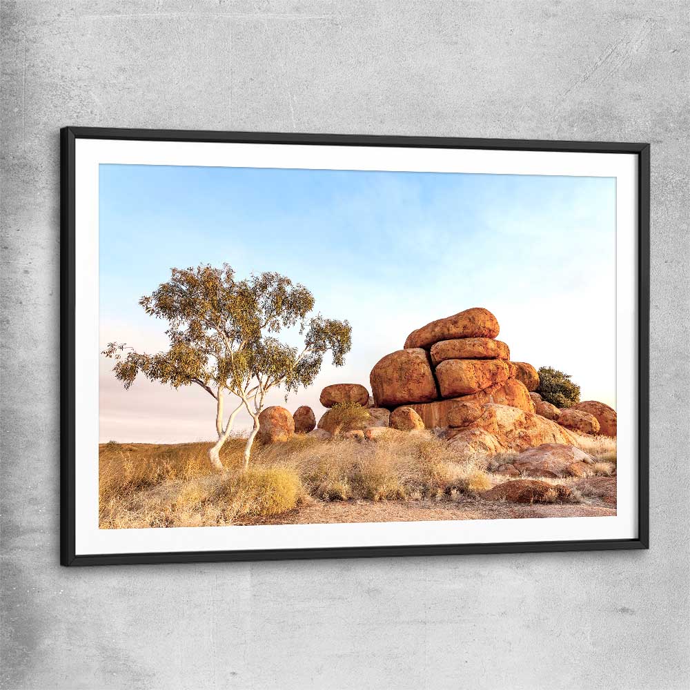 Floral print of Devils Marbles with black glass front frame