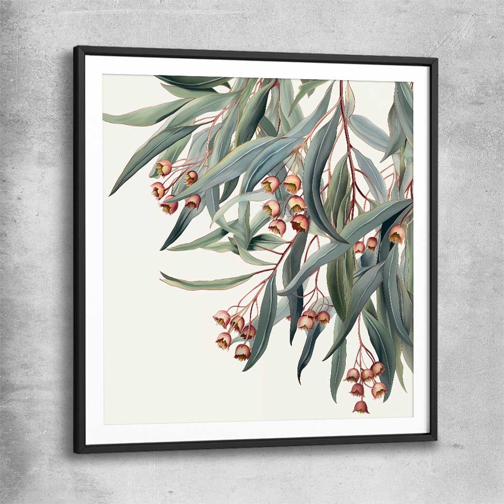 Floral print of Eucalyptus Illustration with black glass front frame
