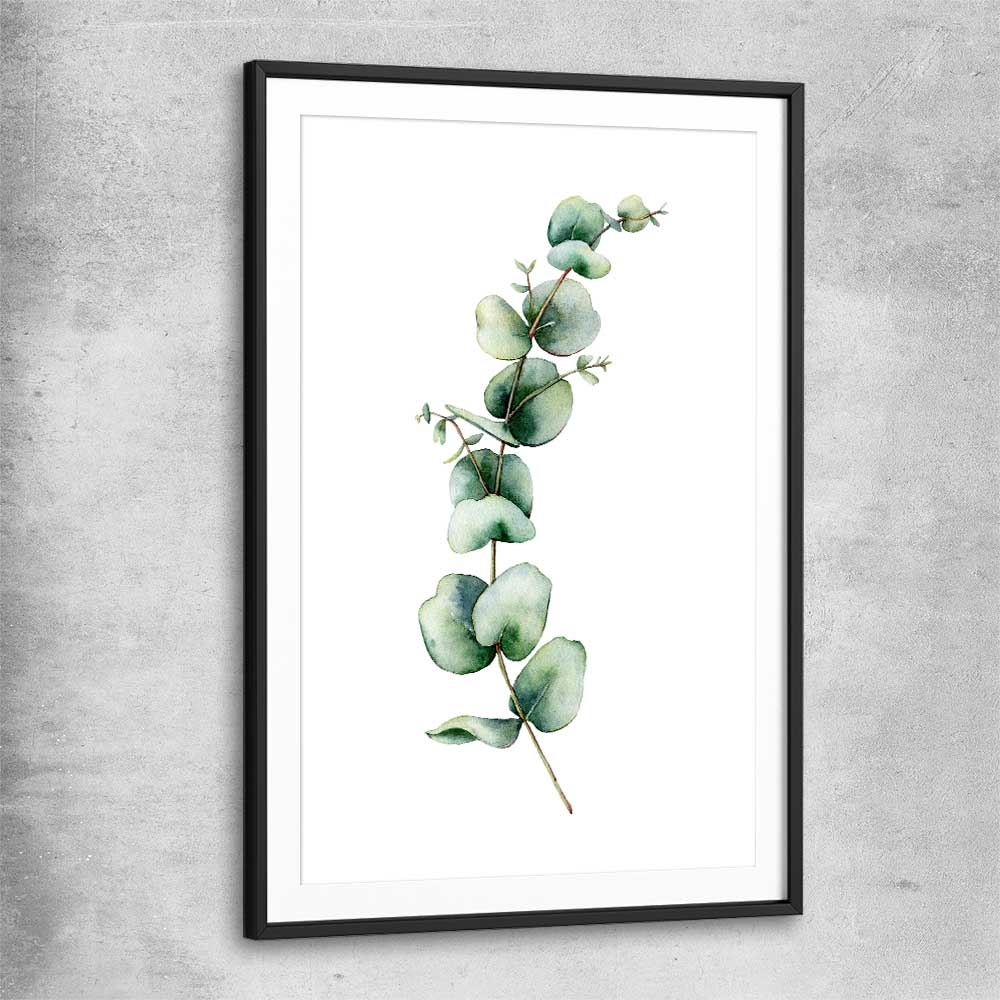 Floral print of Eucalyptus One with black glass front frame