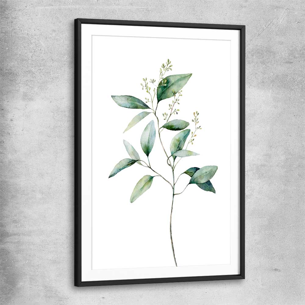Floral print of Eucalyptus Two with black glass front frame