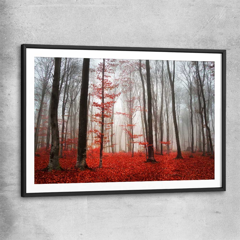Floral print of Foggy Autumn Forest with black glass front frame