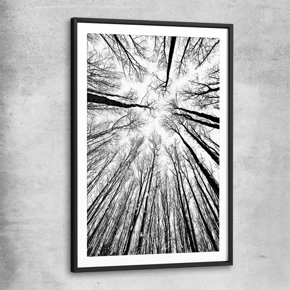 Floral print of Forest Sky with black glass front frame