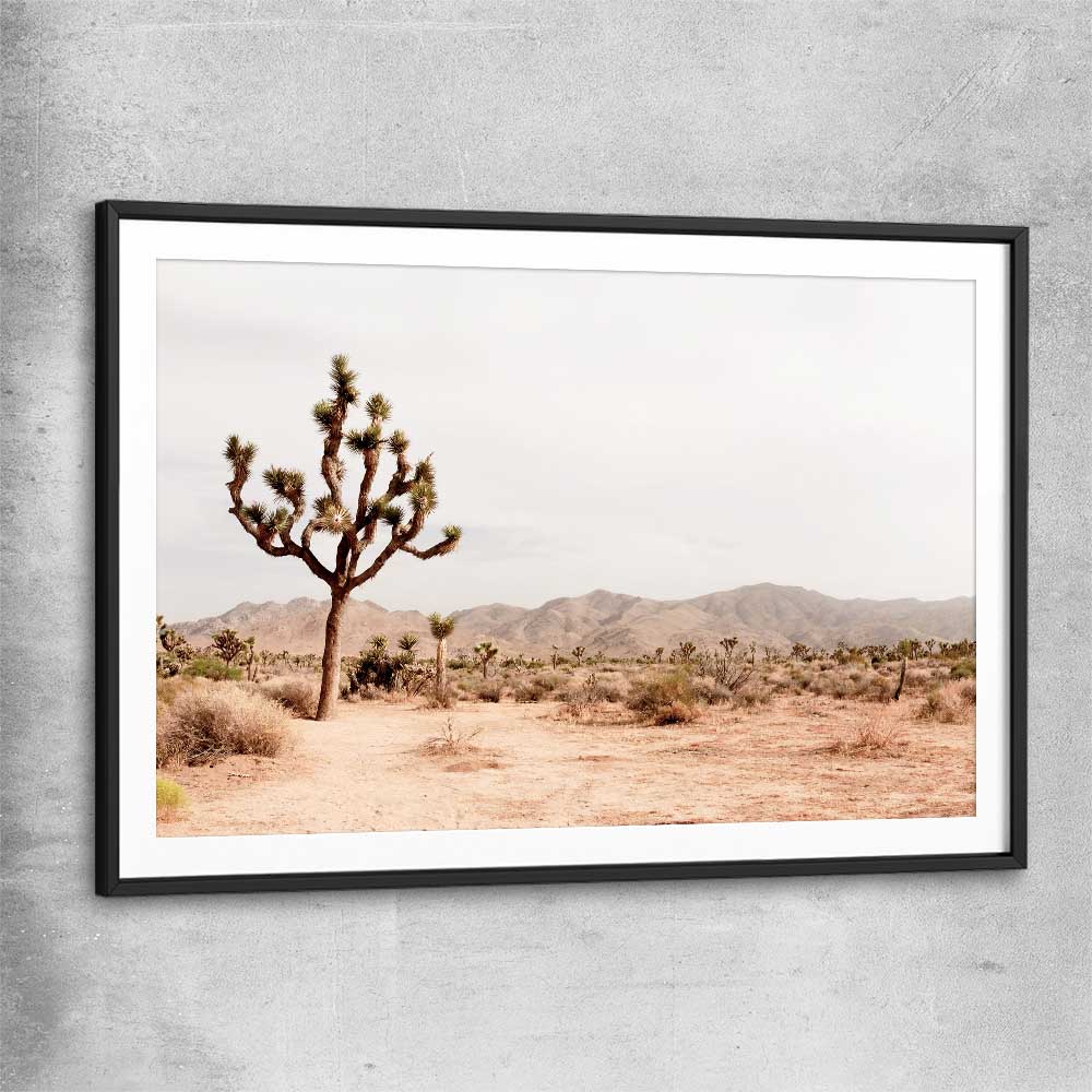 Floral print of Joshua Tree with black glass front frame