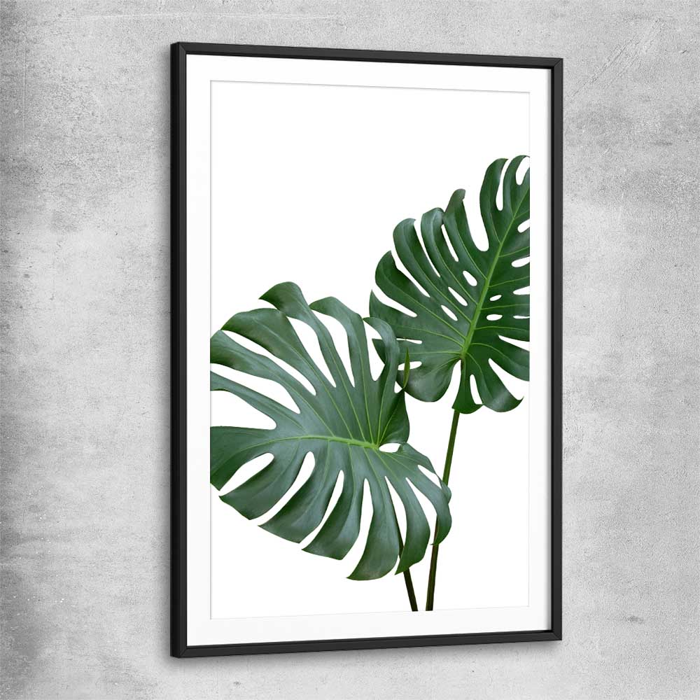 Floral print of Monstera Leaf One with black glass front frame