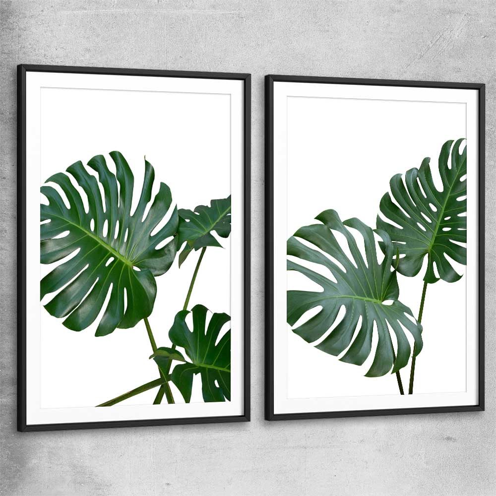 Floral print of Monstera Leaf Pair with black glass front frame