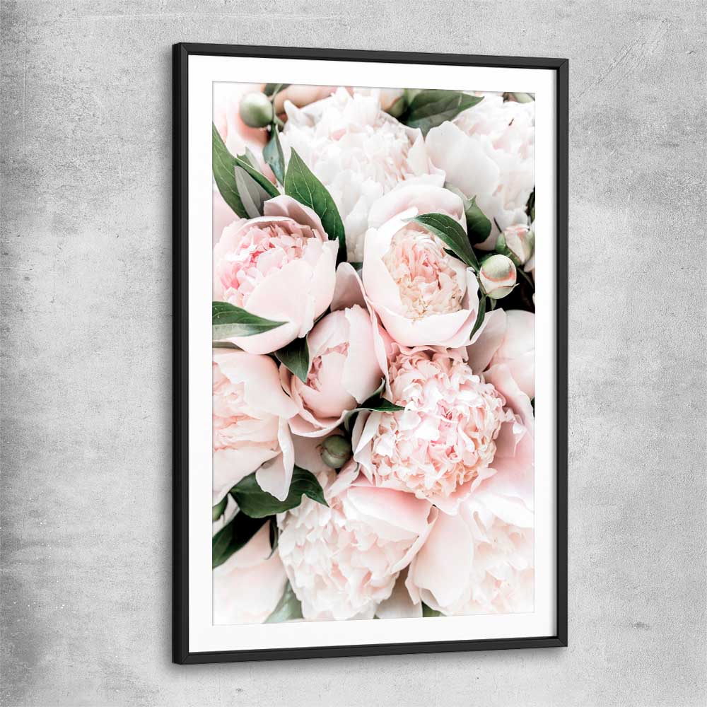Floral print of Pink Peonies with black glass front frame