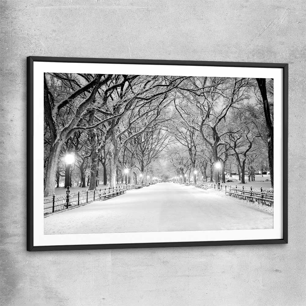 Floral print of Snowy Central Park with black glass front frame