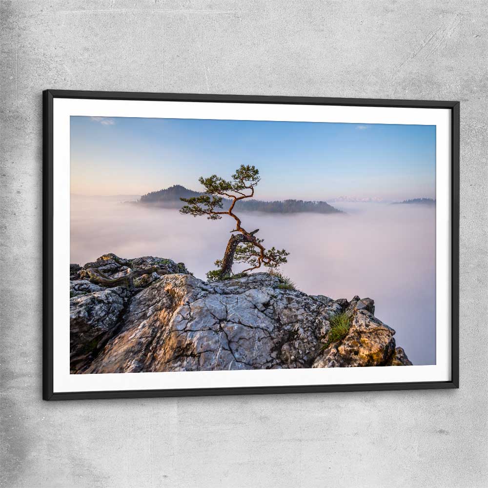 Floral print of Sokolica Peak Poland with black glass front frame