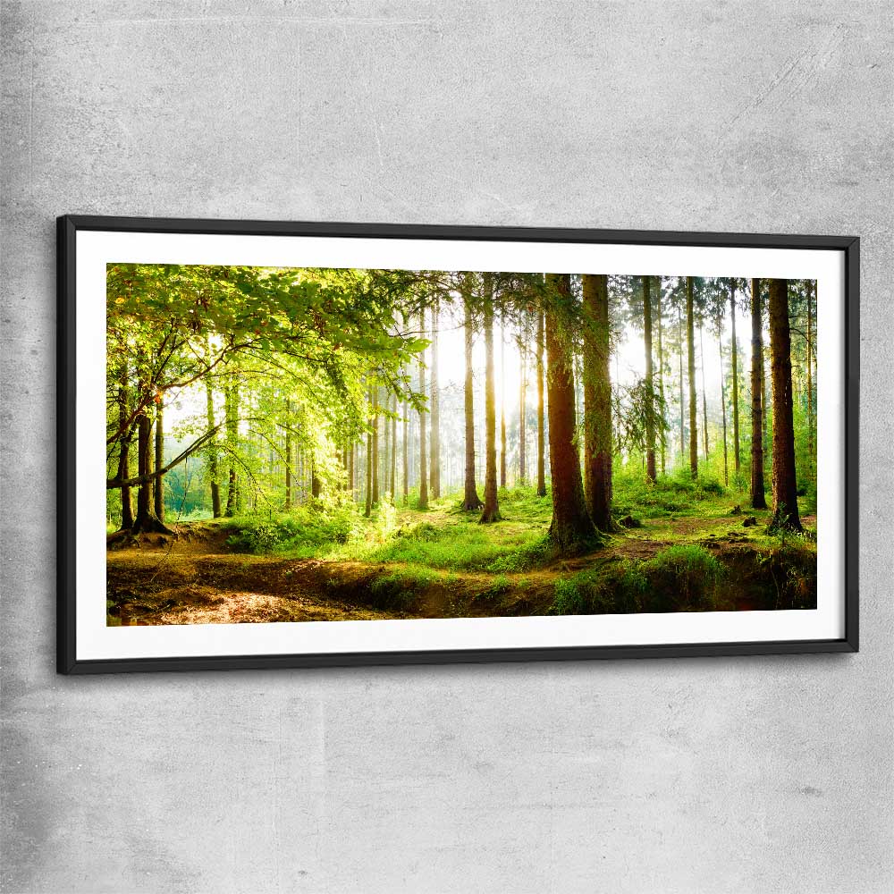 Floral print of Spring Forest with black glass front frame