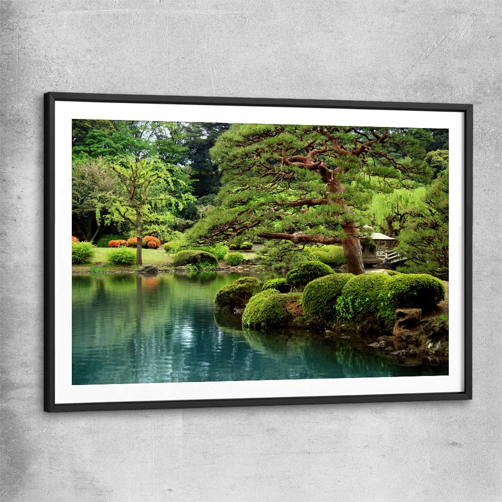 Floral print of Tokyo Bonsai Lake with black glass front frame