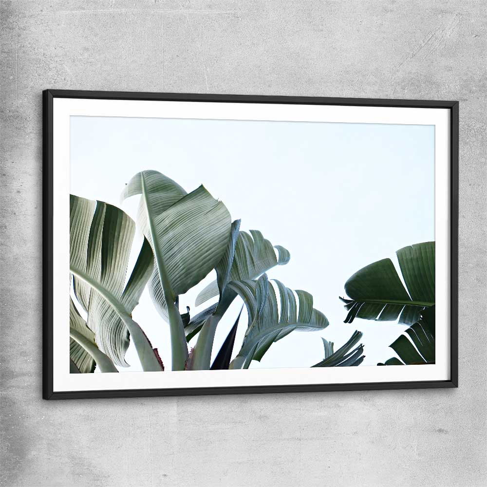 Floral print of Tropical Banana Palm with black glass front frame