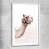 Animal wall art and canvas prints of Bohemian Camel with white glass front frame