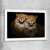 Animal wall art and canvas prints of Calm Jaguar Couple with white glass front frame