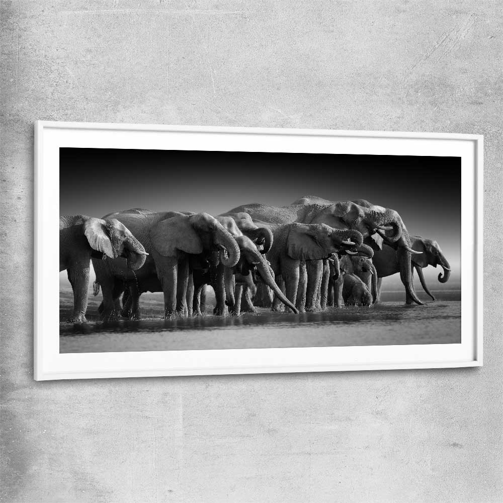 Animal wall art and canvas prints of Elephant Herd with white glass front frame