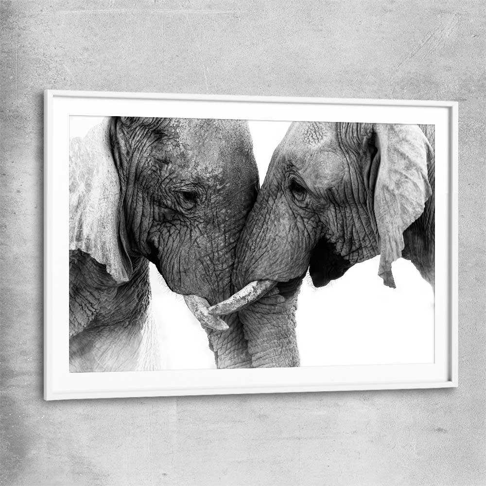 Animal wall art and canvas prints of Elephant Love with white glass front frame
