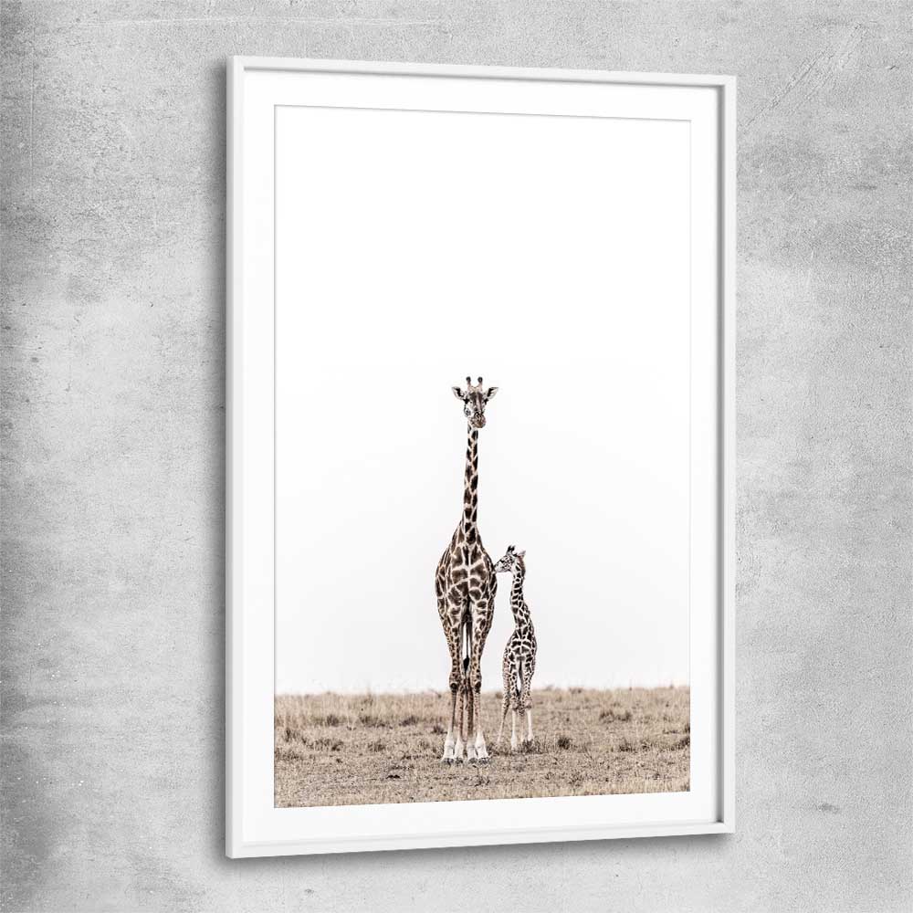 Animal wall art and canvas prints of Giraffe Affection with white glass front frame