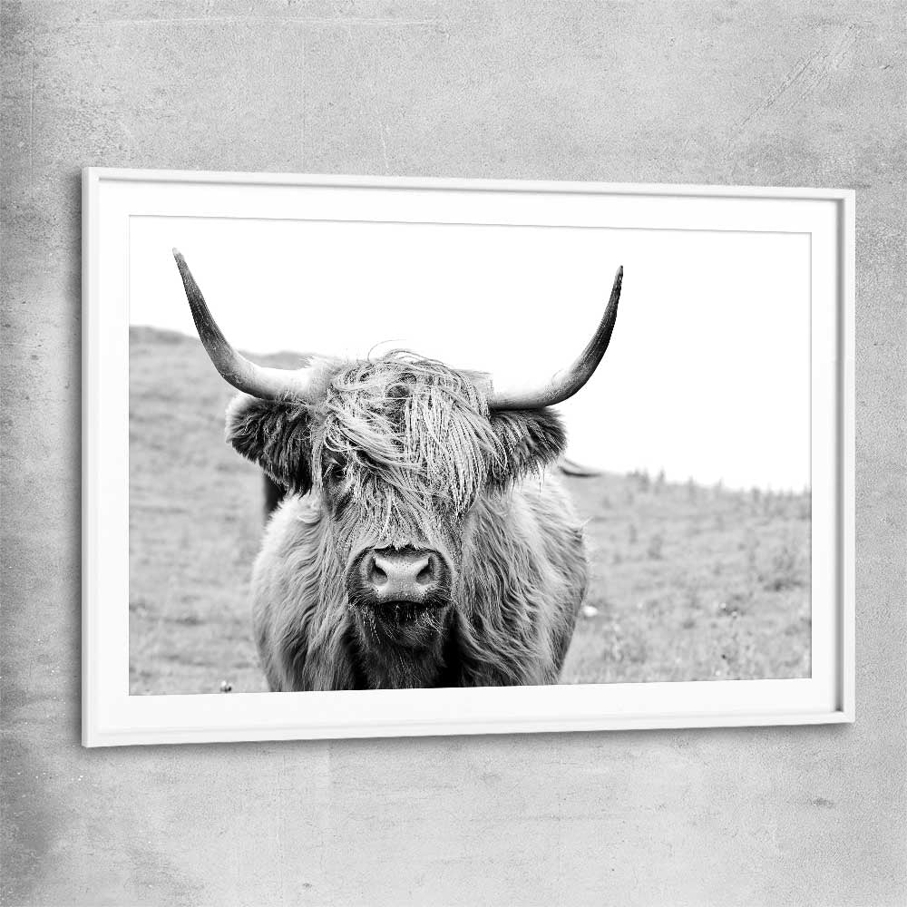 Animal wall art and canvas prints of Highland Hills with white glass front frame