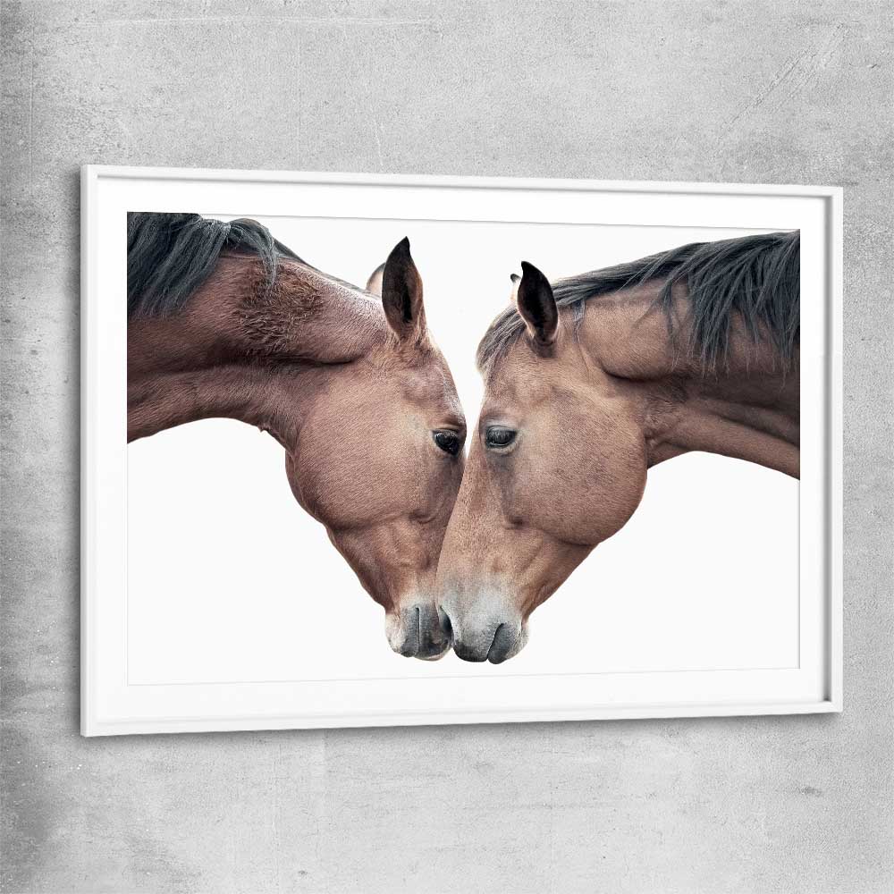 Animal wall art and canvas prints of Horse Affection with white glass front frame