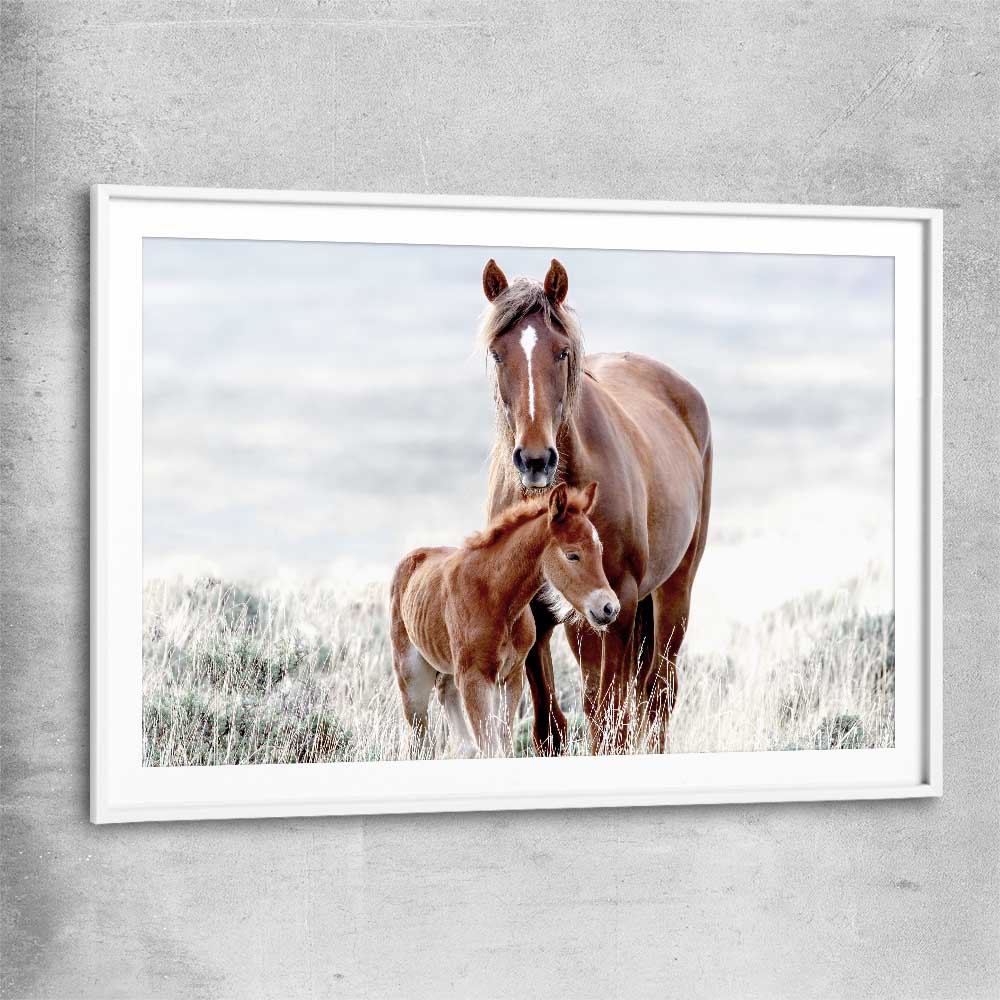 Animal wall art and canvas prints of Horse Love with white glass front frame