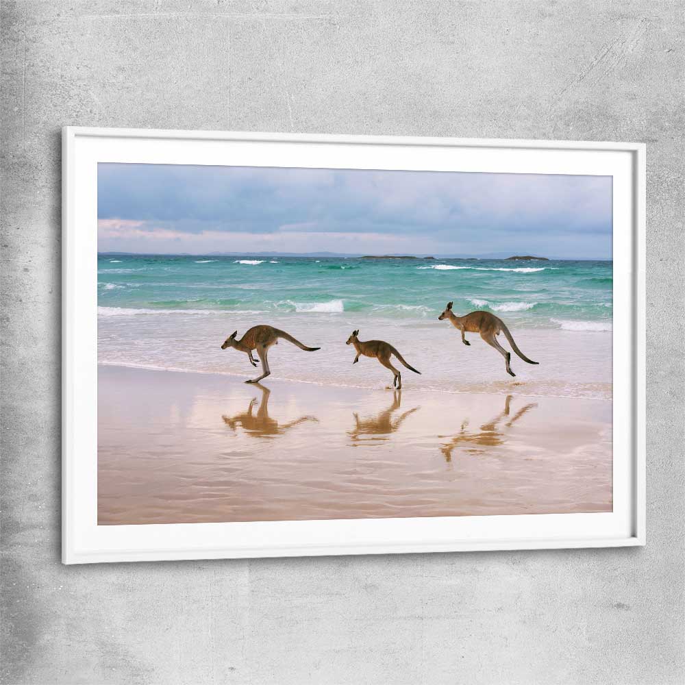 Animal wall art and canvas prints of Kangaroo Family with white glass front frame
