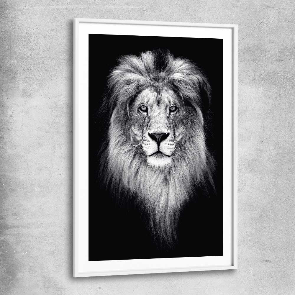Animal wall art and canvas prints of Lion Gaze with white glass front frame