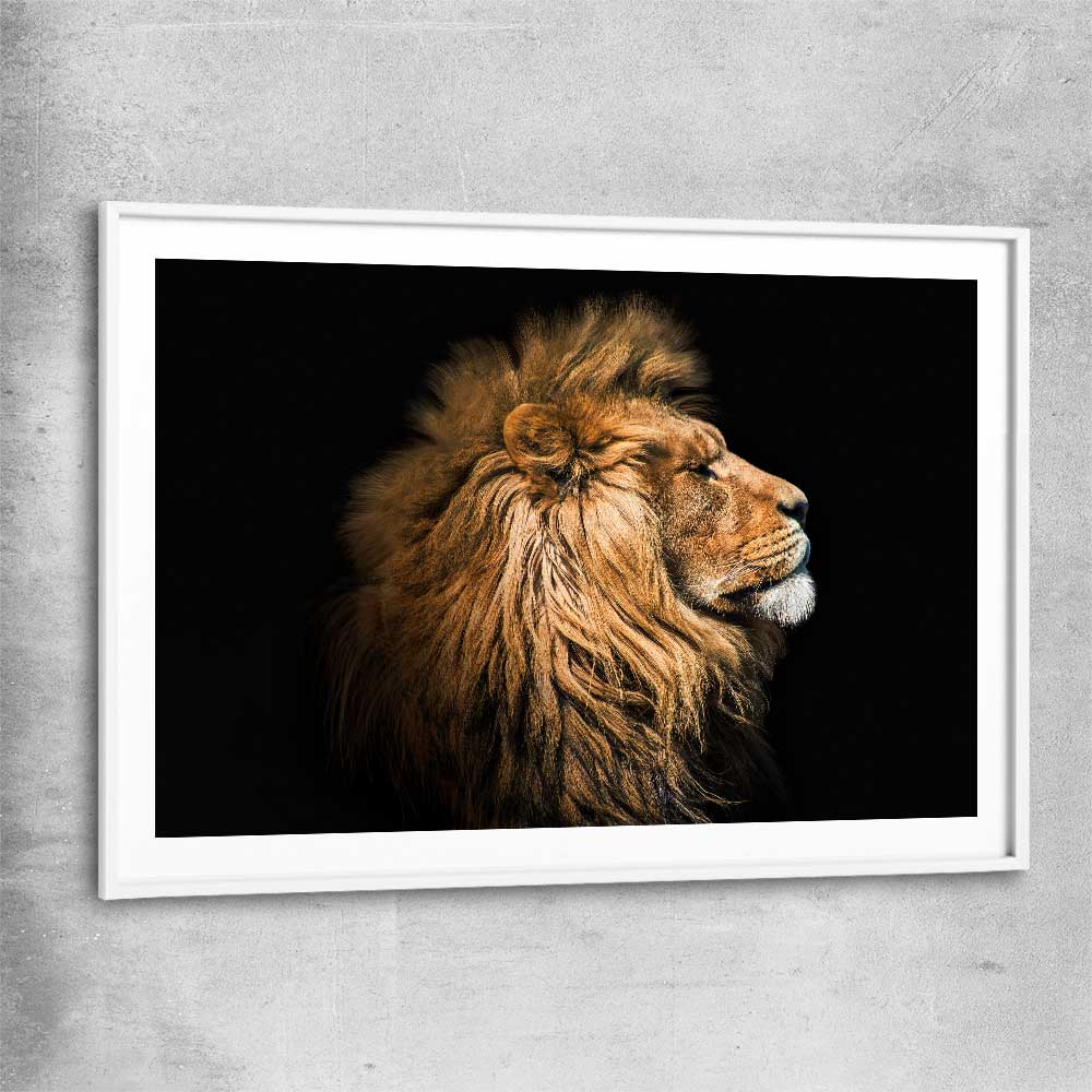Animal wall art and canvas prints of Lion Mentality with white glass front frame
