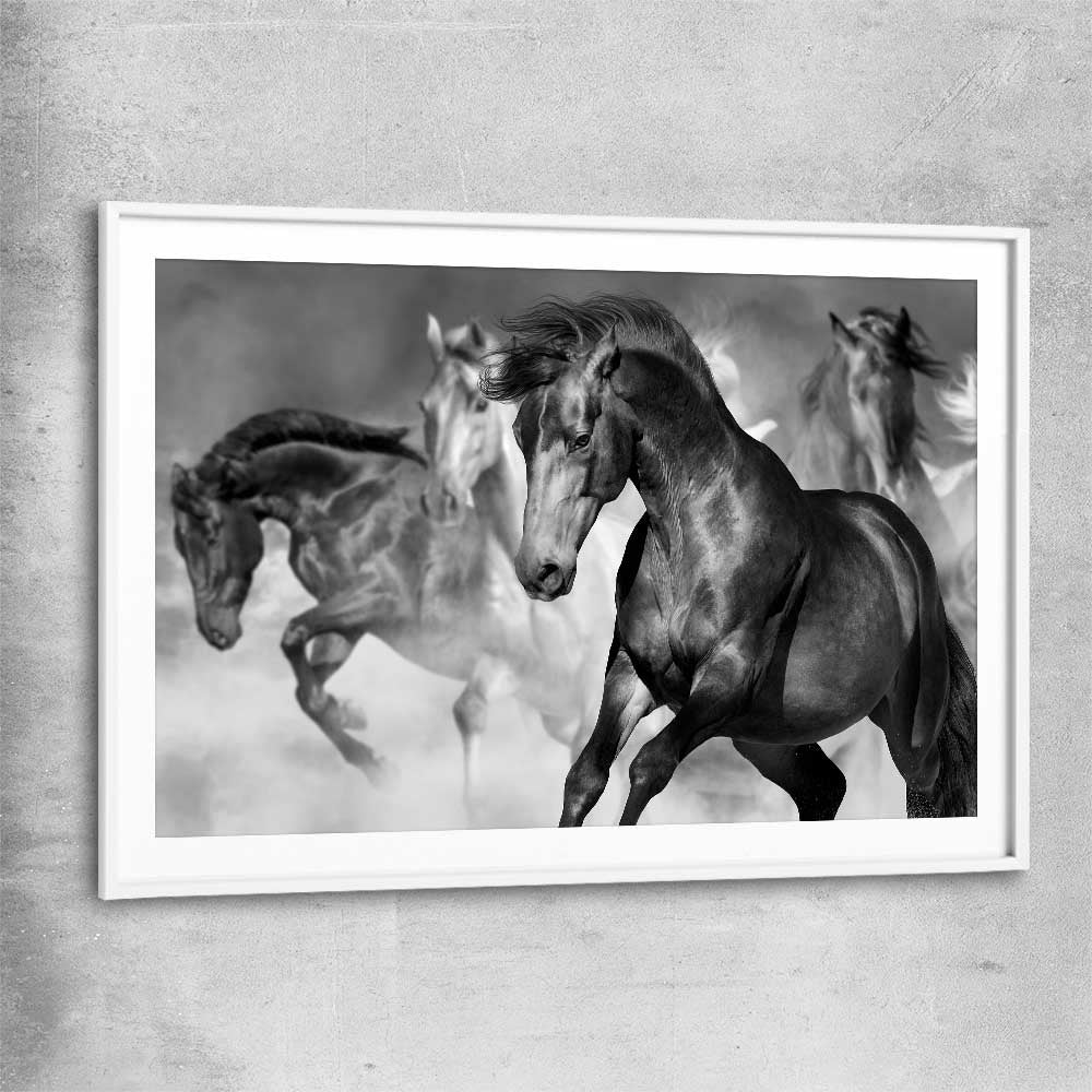 Animal wall art and canvas prints of Majestic Horse with white glass front frame