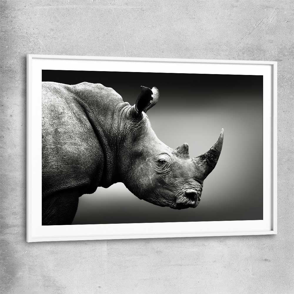 Animal wall art and canvas prints of Monochrome Rhinoceros with white glass front frame