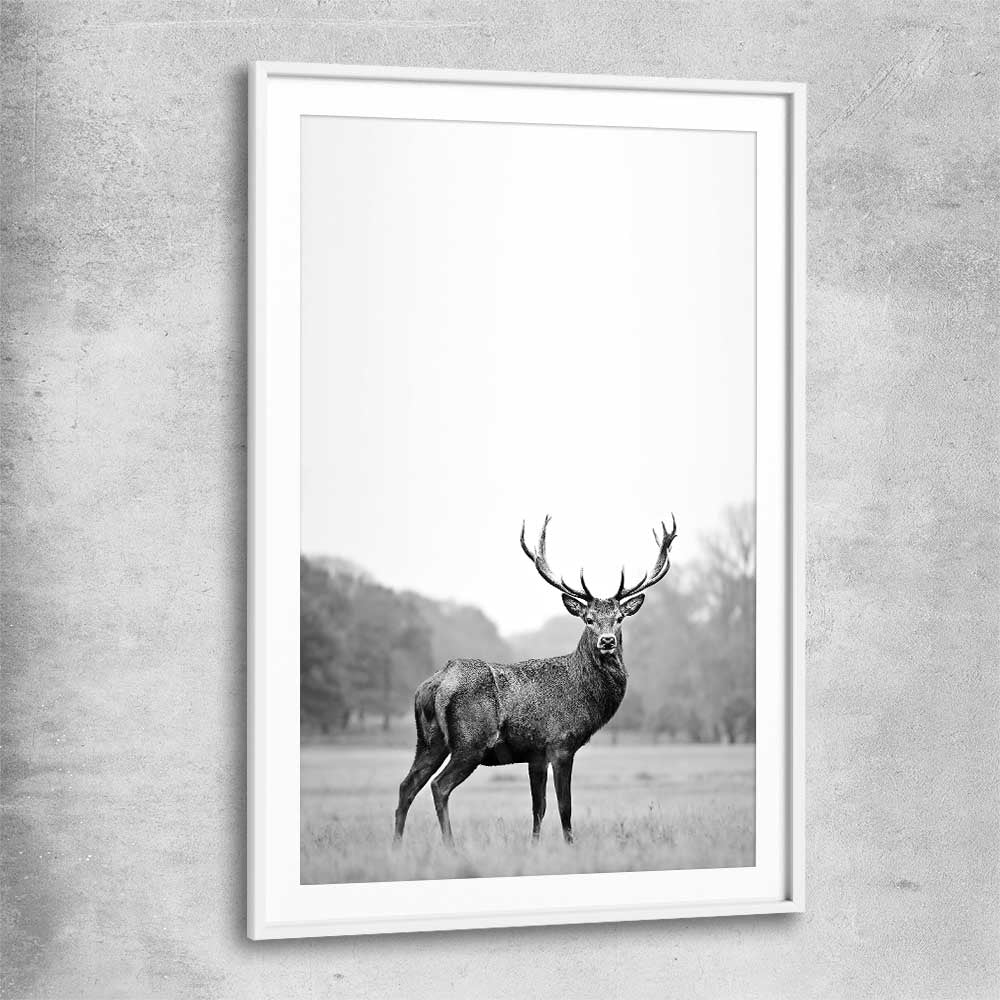 Animal wall art and canvas prints of Roaming Deer with white glass front frame