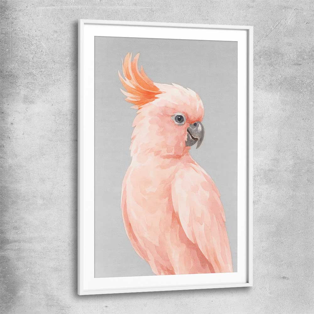 Animal wall art and canvas prints of Salmon-crested Cockatoo with white glass front frame