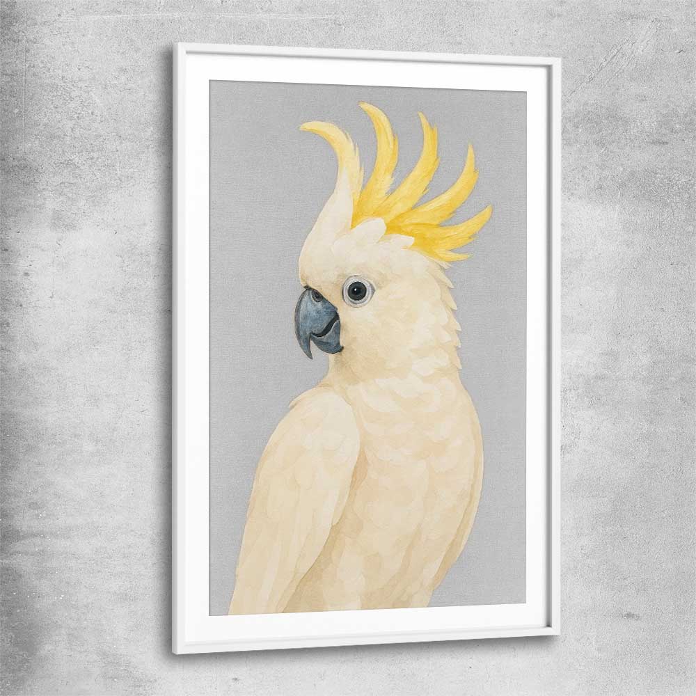 Animal wall art and canvas prints of Sulphur-crested Cockatoo with white glass front frame