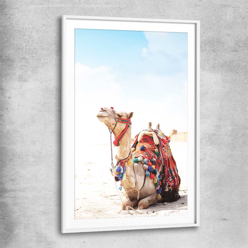 Animal wall art and canvas prints of Vibrant Camel with white glass front frame