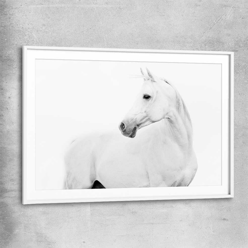 Animal wall art and canvas prints of White Horse with white glass front frame