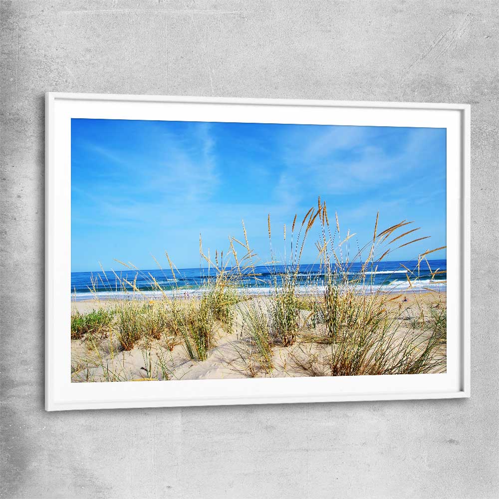 Beach and coastal wall art print of Algarve Dune Flora with white glass front frame