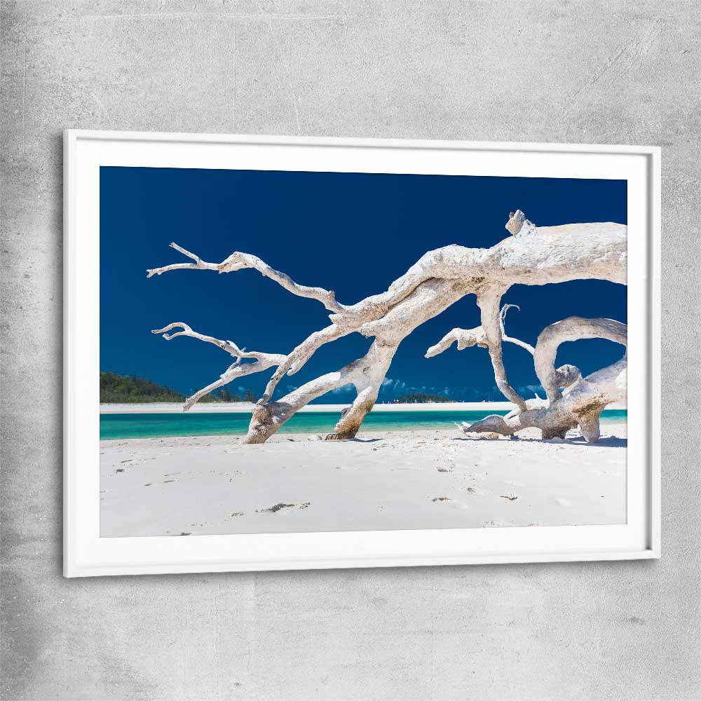 Beach and coastal wall art print of Whitsundays Driftwood with white glass front frame