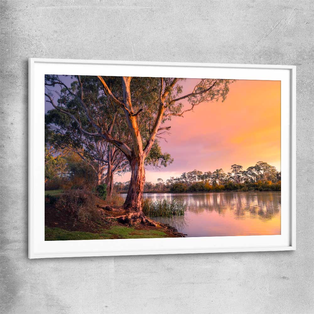 Floral print of Blissful River Sunset with white glass front frame