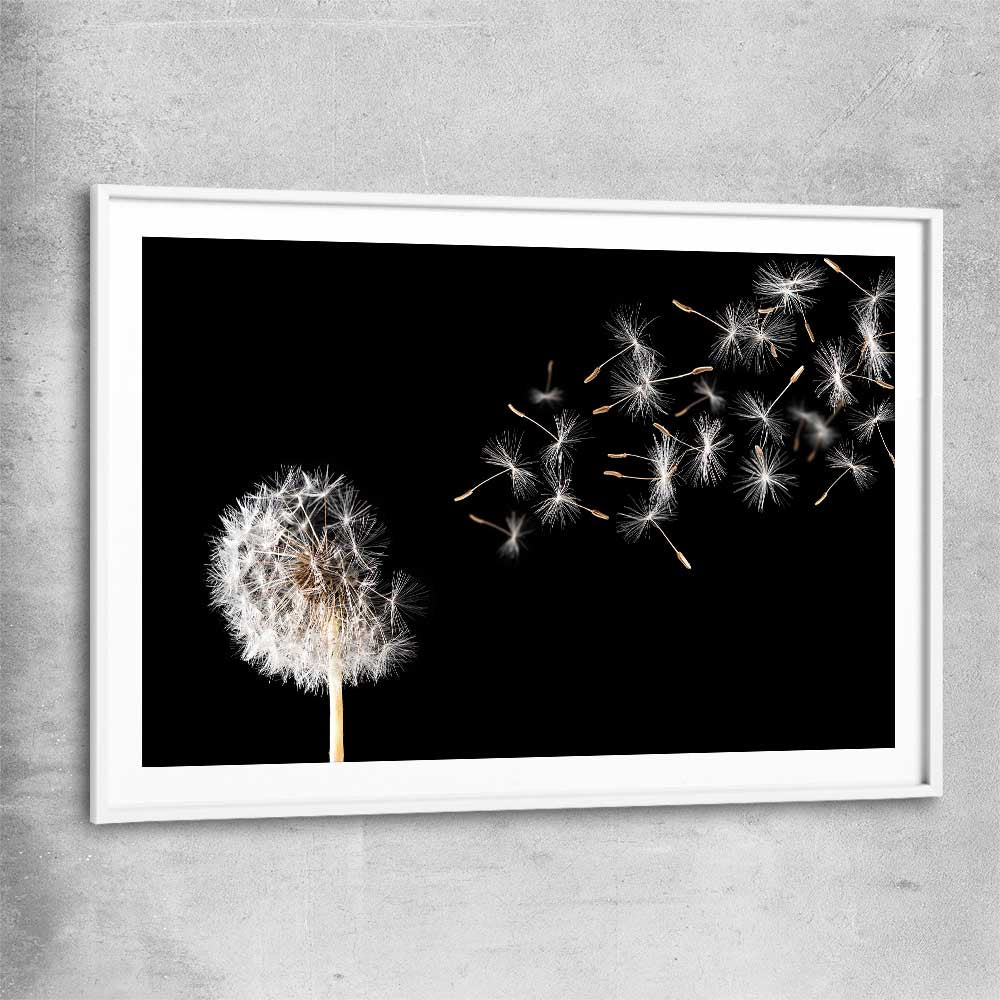 Floral print of Blowing Dandelion with white glass front frame