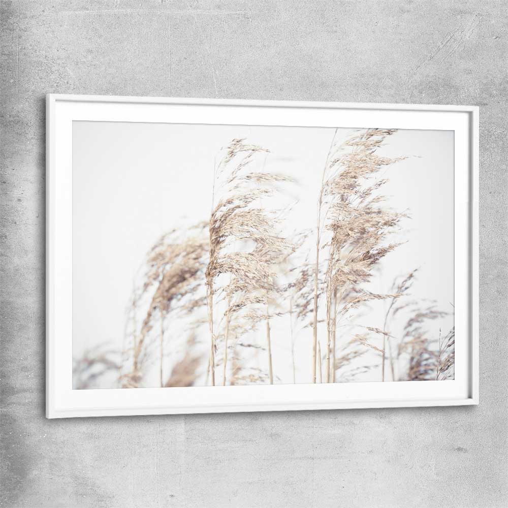 Floral print of Blowing Pampas with white glass front frame