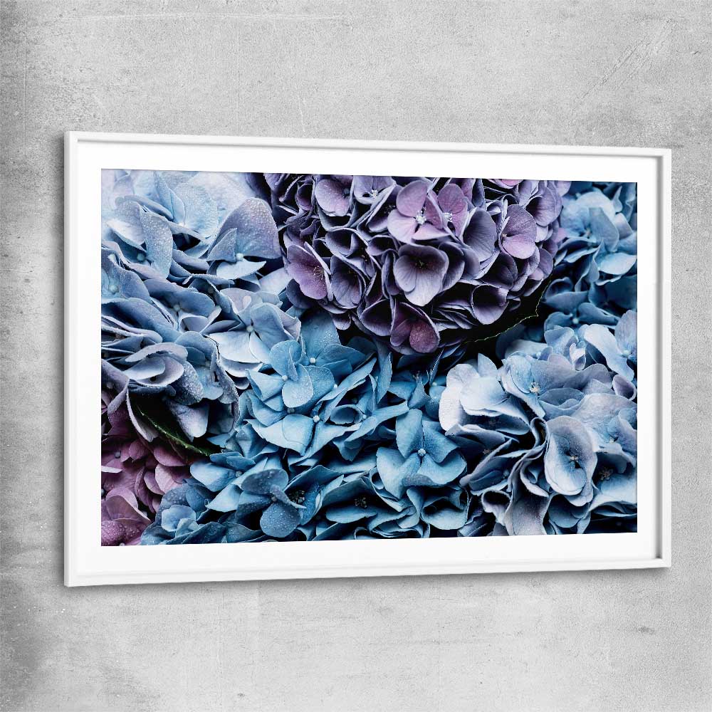 Floral print of Blue Hydrangea with white glass front frame