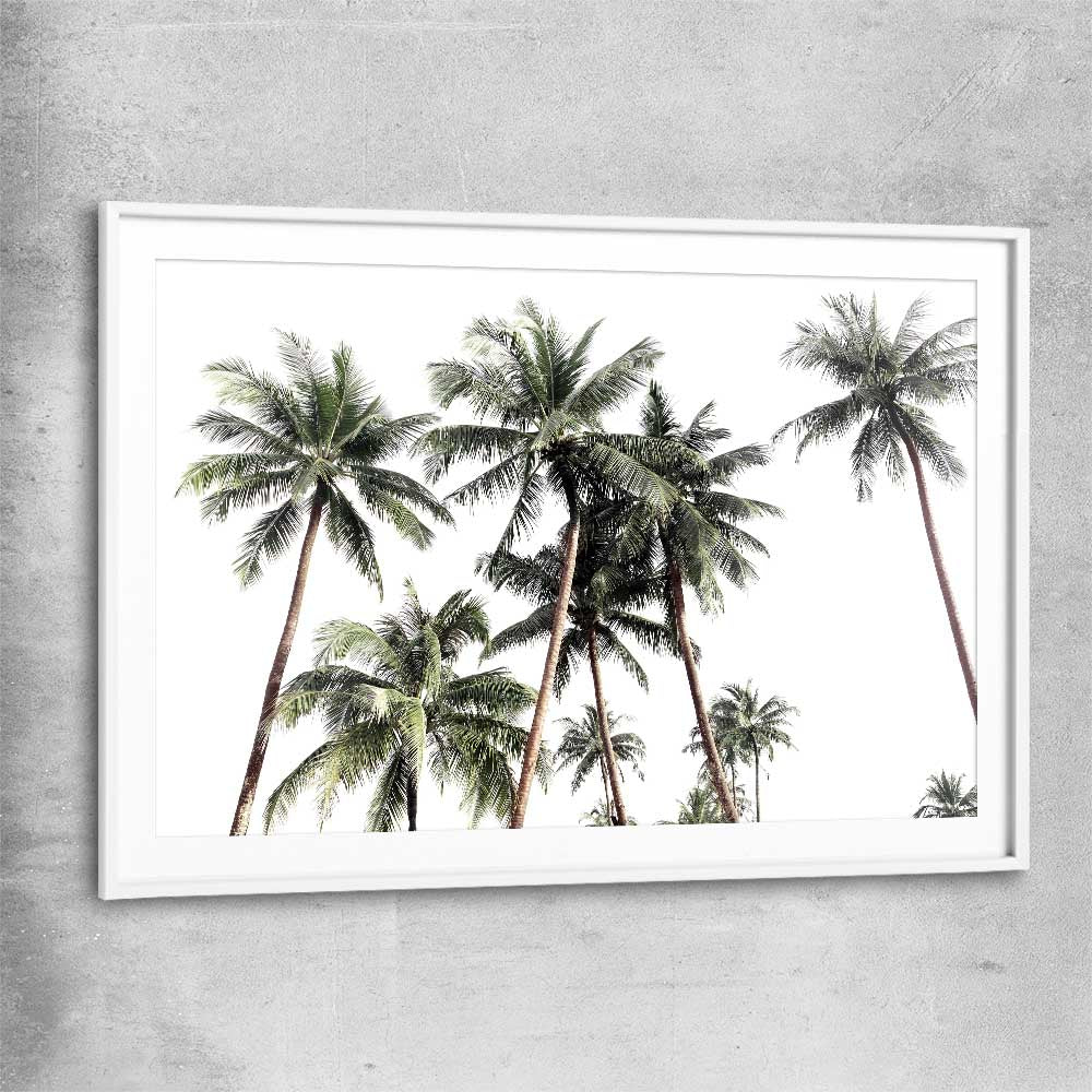 Floral print of Bright Palm Skies with white glass front frame