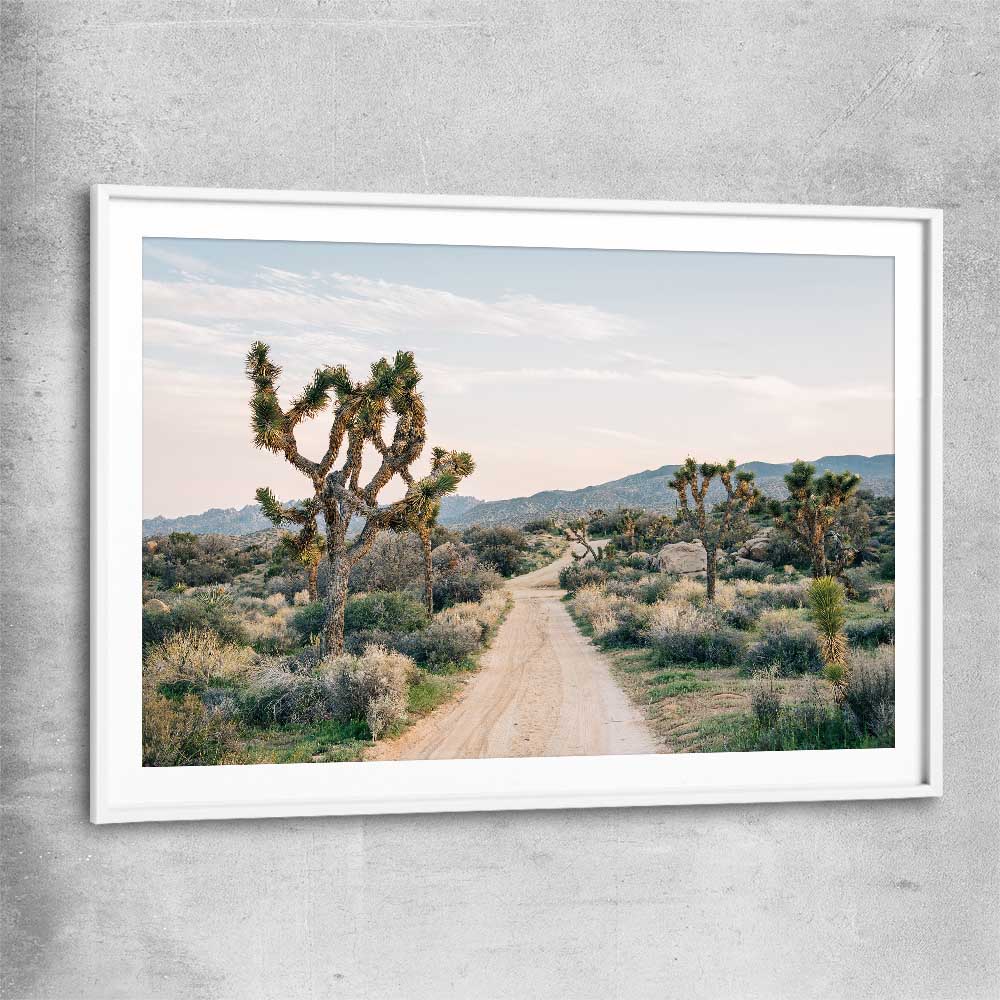 Floral print of California Desert with white glass front frame
