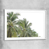 Floral print of Coconut Palms with white glass front frame