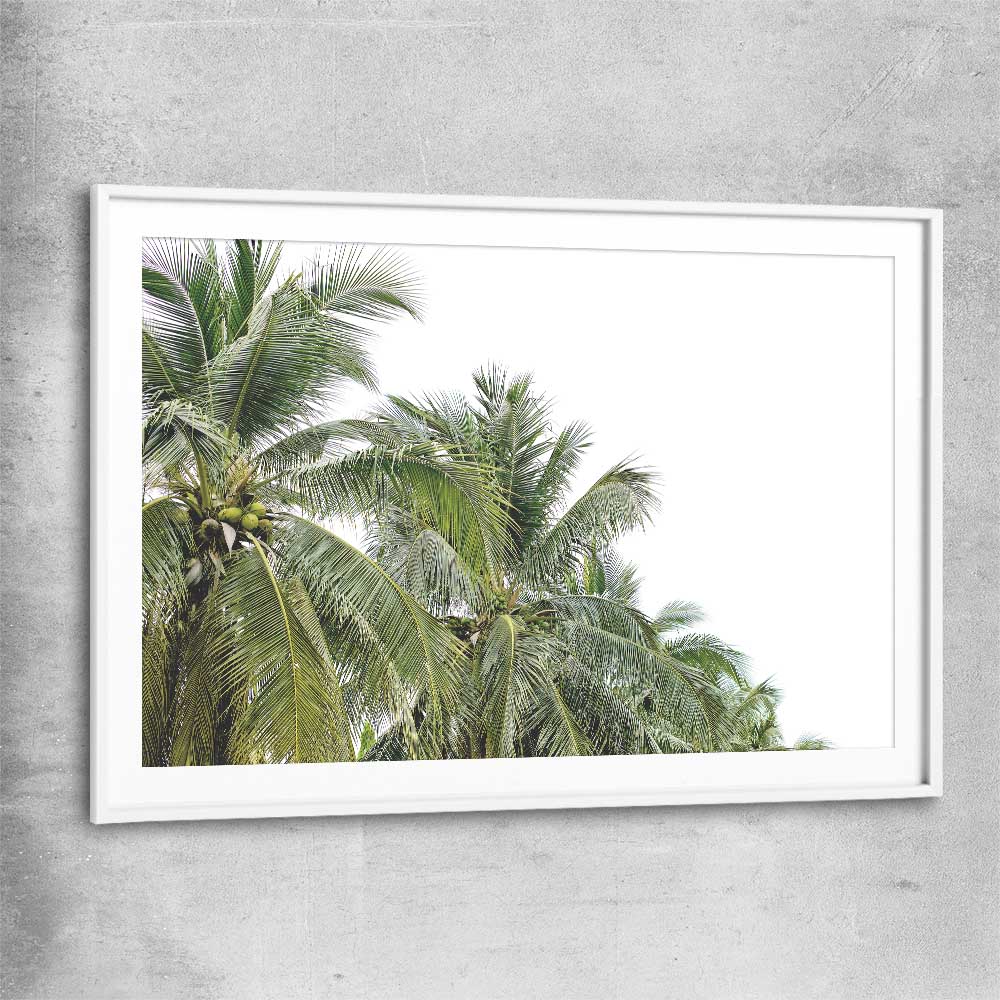 Floral print of Coconut Palms with white glass front frame