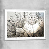 Floral print of Dandelion Seed Sunrise with white glass front frame
