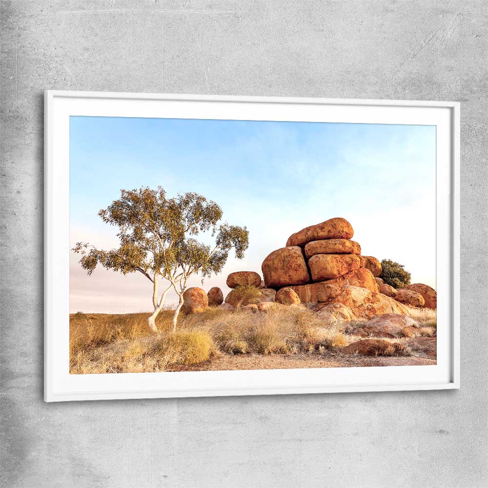 Floral print of Devils Marbles with white glass front frame