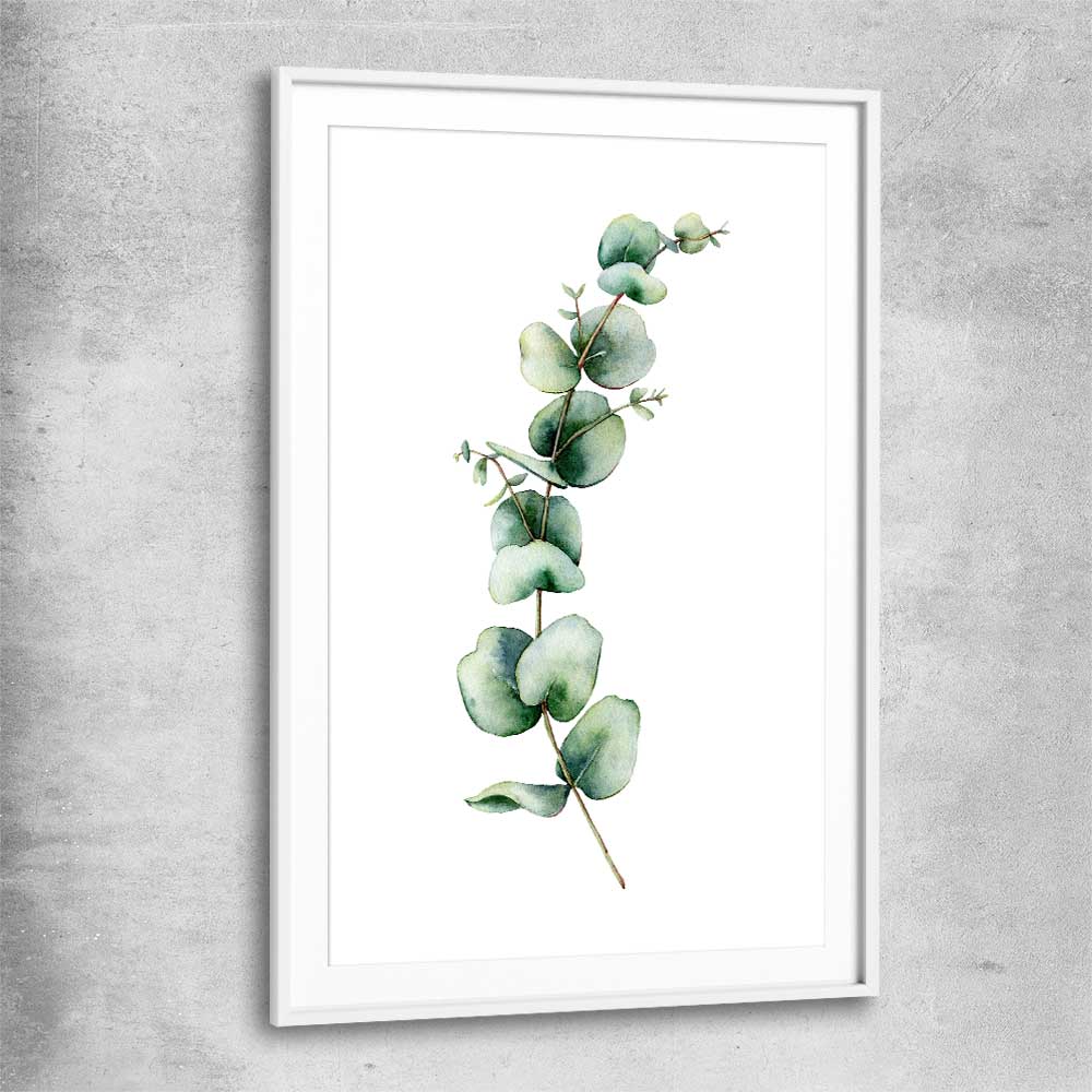 Floral print of Eucalyptus One with white glass front frame